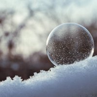 Мыльный пузырь на морозе :: Ирина Полунина