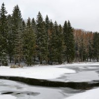 Не замерзает ручей. :: Милешкин Владимир Алексеевич 