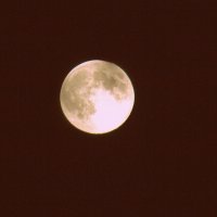 Луна :: Светлана SvetNika17