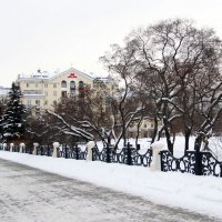 В сквере имени Дзержинского. :: Евгений Шафер