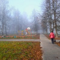 В осенний туман... :: Вячеслав Маслов