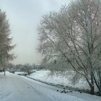 В зимнем парке. :: Aleksey Afonin