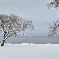 Tallinn, Fotograaf Arkadi Baranov, FEP, Estonia :: Аркадий  Баранов Arkadi Baranov