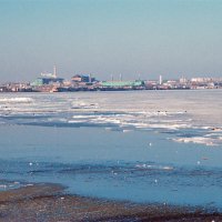 Таганрогский залив, зима. :: M Marikfoto