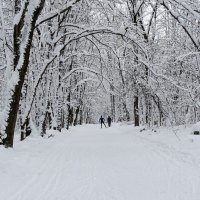 Рай для любителей лыжного спорта. :: Милешкин Владимир Алексеевич 