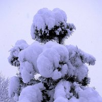 Совсем завалило снегом :: Людмила Смородинская