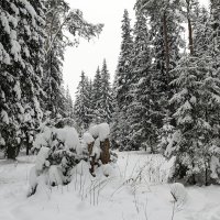 Зима :: skijumper Иванов