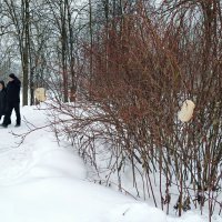 На дорожках парка :: Мария Васильева