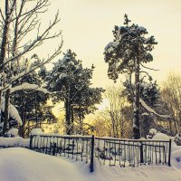 Зимний день на погосте :: Сергей Кочнев