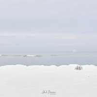 Tallinn, Fotograaf Arkadi Baranov, FEP, Estonia :: Аркадий  Баранов Arkadi Baranov