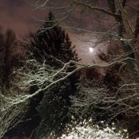 Лунная ночь :: Петр Мерзляков