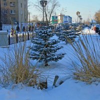 Предновогодний сквер у вокзала в Екатеринбурге! :: Владимир 