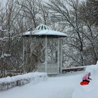 Зима  в саду Крупской. :: Николай Рубцов