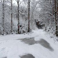 Вода под снегом (репортаж из поездок по области) :: Милешкин Владимир Алексеевич 