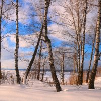 Хороший зимний денек :: владимир тимошенко 