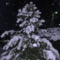 И снова идёт снег :: Людмила Смородинская