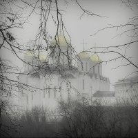 В тумане... :: Владимир Шошин