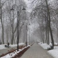 Декабрьский туман :: Татьяна 