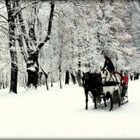 В парке тихо шёл снег - 4 :: Сергей 