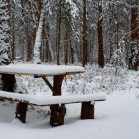 Здесь встречают Новый год. :: Милешкин Владимир Алексеевич 