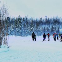 Декабрь...Урок физкультуры в лесном окружении! :: Владимир 