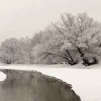 Не замёрзший участок реки :: Андрей Снегерёв