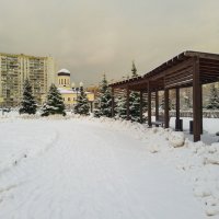 Парк "Радуга"-24.12.2023. :: Борис Калитенко