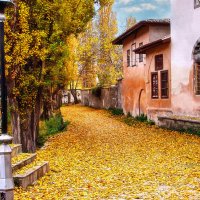 Осень. :: Анна Пугач