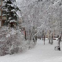 Зима в декабре :: Елена Семигина