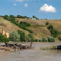 Река Кубань летом :: Игорь Сикорский
