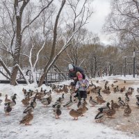 Люди и Утки :: юрий поляков