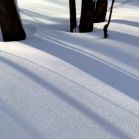 На белом-белом покрывале декабря.. :: Ната Волга