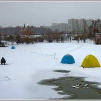 Зимняя рыбалка в городе. :: Владимир Попов