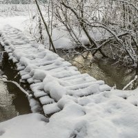 мостик зимой :: РозаВетроф 
