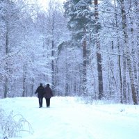 Прогулка по зимнему парку :: Танзиля Завьялова