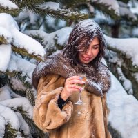 Снег, мороз и шампанское :: Виктор Садырин