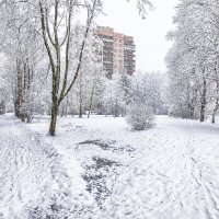 В Петербурге сегодня зима :: Евгений 