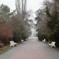 Одинокие скамейки в городском саду... :: Александр Стариков