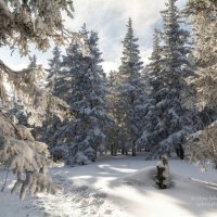 Снежное царство Деда Мороза :: Елена Соколова