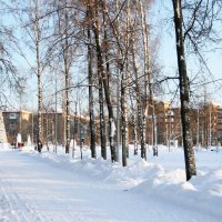 Предновогоднее настроение. :: Евгений Шафер