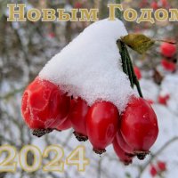 С Новым Годом! :: Александр Прокудин