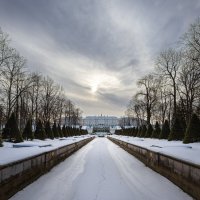 В зимнем Петергофе... :: Сергей Кичигин