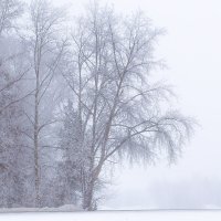 Туман. :: Владимир Мигонькин