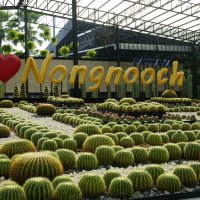 Тропический сад Нонг Нуч (Таиланд, Паттайя) :: Иван Литвинов