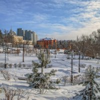 Зима в центральном парке Хабаровска :: Игорь Сарапулов