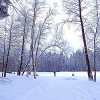 Рождественский вечер в парке :: Татьяна Тюменка