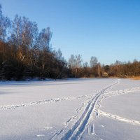 Природа в Рождество (репортаж из поездок по области). :: Милешкин Владимир Алексеевич 