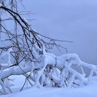 Нечто. :: Сергей Адигамов