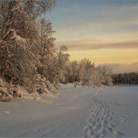 Зимними тропами... :: Владимир Чикота 