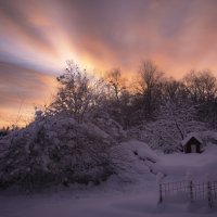 Вечер начинается в полдень :: liudmila drake